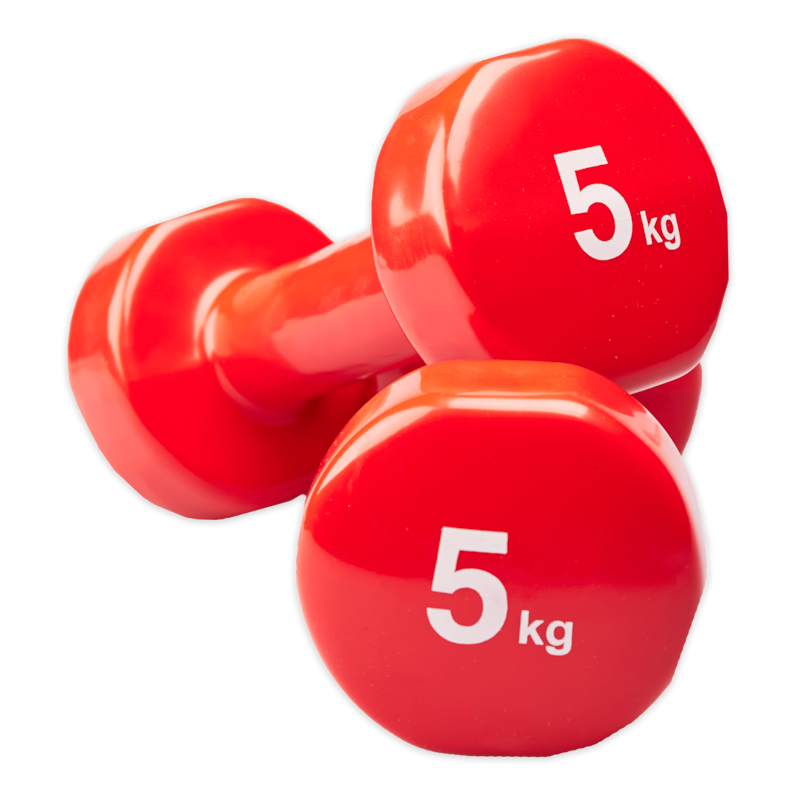 Halteres en vinyle 5 kg