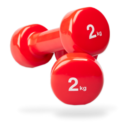 Halteres en vinyle 2 kg