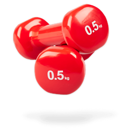 Halteres en vinyle 0,5 kg