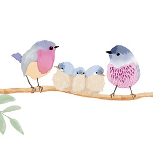 Stickers easy oiseaux