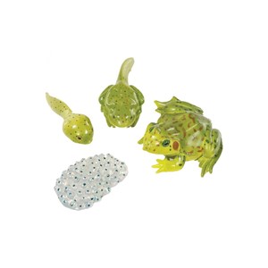 Figurines métamorphose grenouille