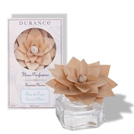 Fleur parfumée eau de coco