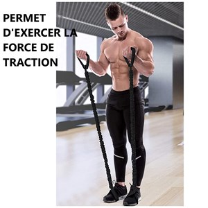 Pack roue abdominale