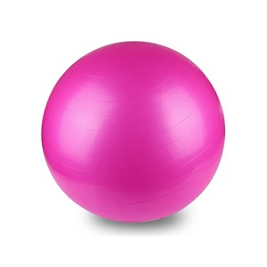 Swiss ball 55 cm