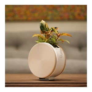 Jardinière ronde auto-arrosante – beige
