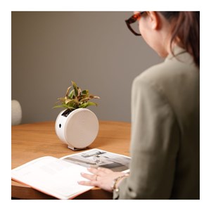 Jardinière ronde auto-arrosante – beige