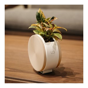 Jardinière ronde auto-arrosante – beige
