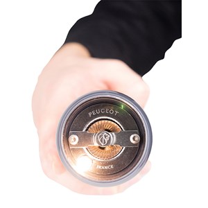 Alaska moulin à sel électrique en abs