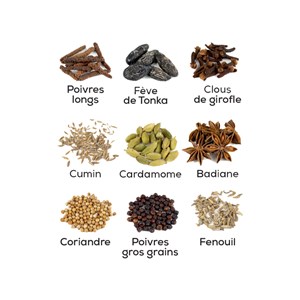 Isen moulin à poivres longs et gros