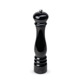 Paris électrique moulin à sel