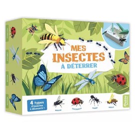 Kit auzou editions beige