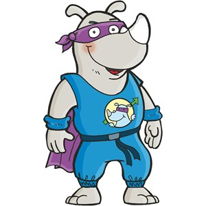 Rhino hero
