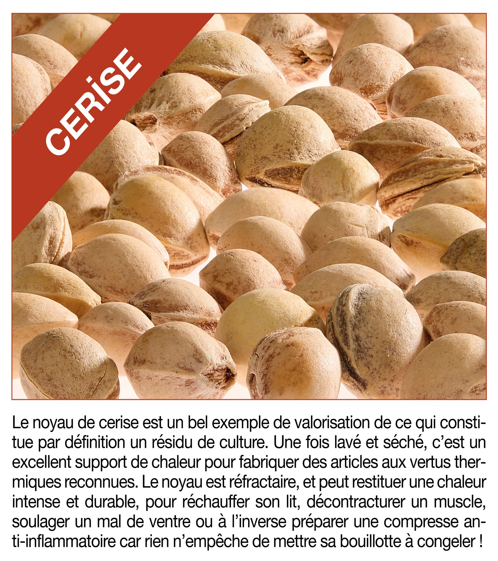 Coussin noyau de cerise bouillotte sèche pour cervicales - Housse