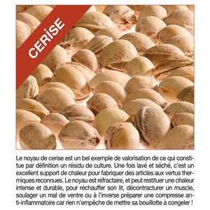 Bouillotte aux noyaux de cerises