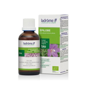 Epilobe - extrait de plante fraiche bio