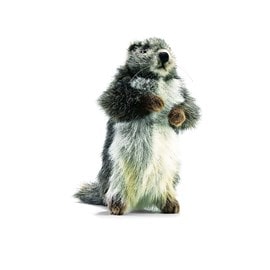 Peluche anima marmotte 25 cm
