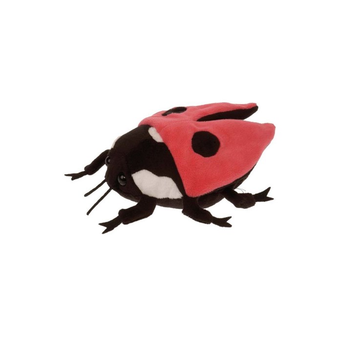 Trotteur coccinelle shop nature et decouverte