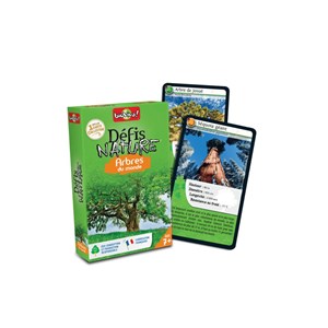 Défis nature : arbre du monde