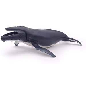 Baleine à bosse
