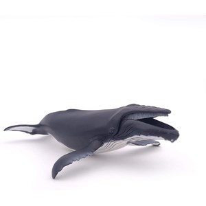 Baleine à bosse