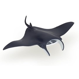 Raie manta