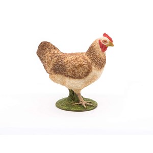 Poule
