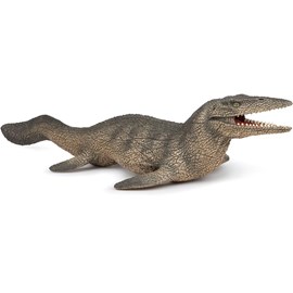 Tylosaure