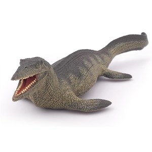 Tylosaure