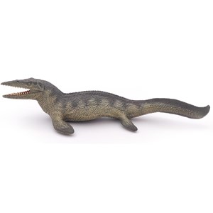 Tylosaure