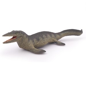 Tylosaure