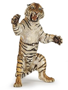 Tigre debout