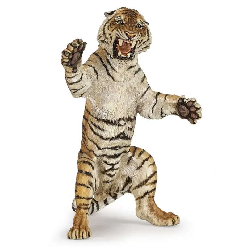 Tigre debout