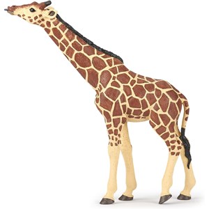 Girafe tête levée