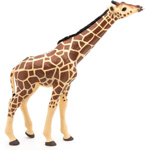 Girafe tête levée