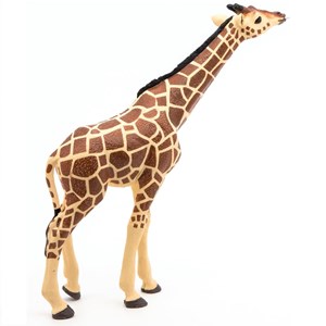 Girafe tête levée