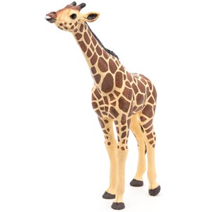 Girafe tête levée