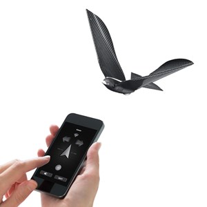 Bionic bird deluxe package