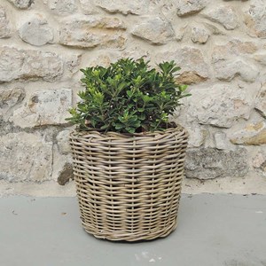 Pot de fleur rond en rotin tressé