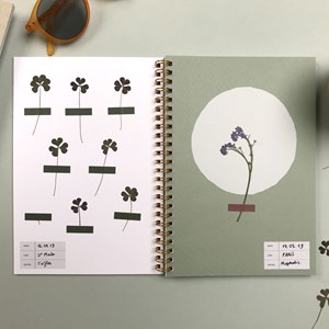 L’herbier de voyage