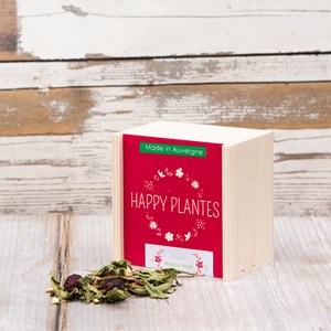 Infusion noël tisane cannelle pomme bio