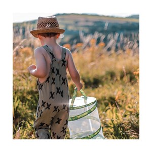 Kit d'élevage de papillons