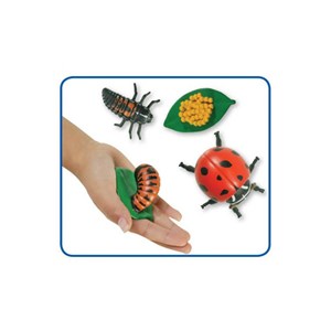 Figurines métamorphose coccinelles