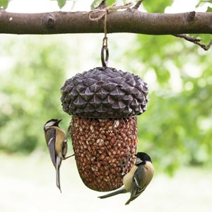 Mangeoire oiseaux a suspendre gland