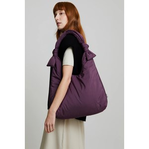 Sac - biwa plum tech