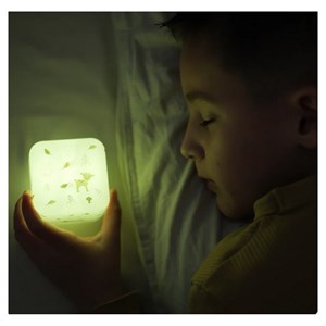 Veilleuse nomade cube b - foret
