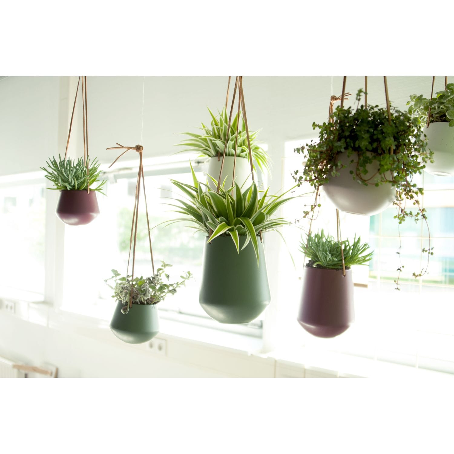 Le cache-pot : l'accessoire indispensable pour sublimer vos plantes !