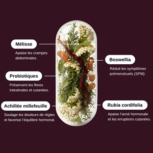 Probio menstruations - cure de 1 mois