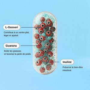 Probio ventre plat - cure de 1 mois