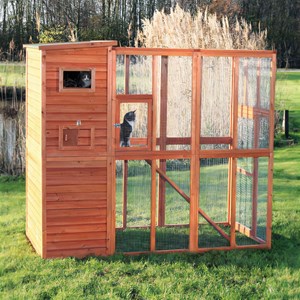 Parc à chats avec abri en bois