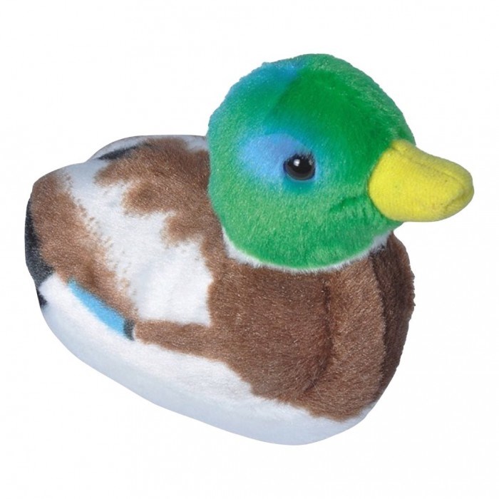 Canard peluche sonore